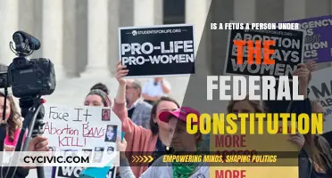 The Legal Status of a Fetus: Personhood and the Constitution