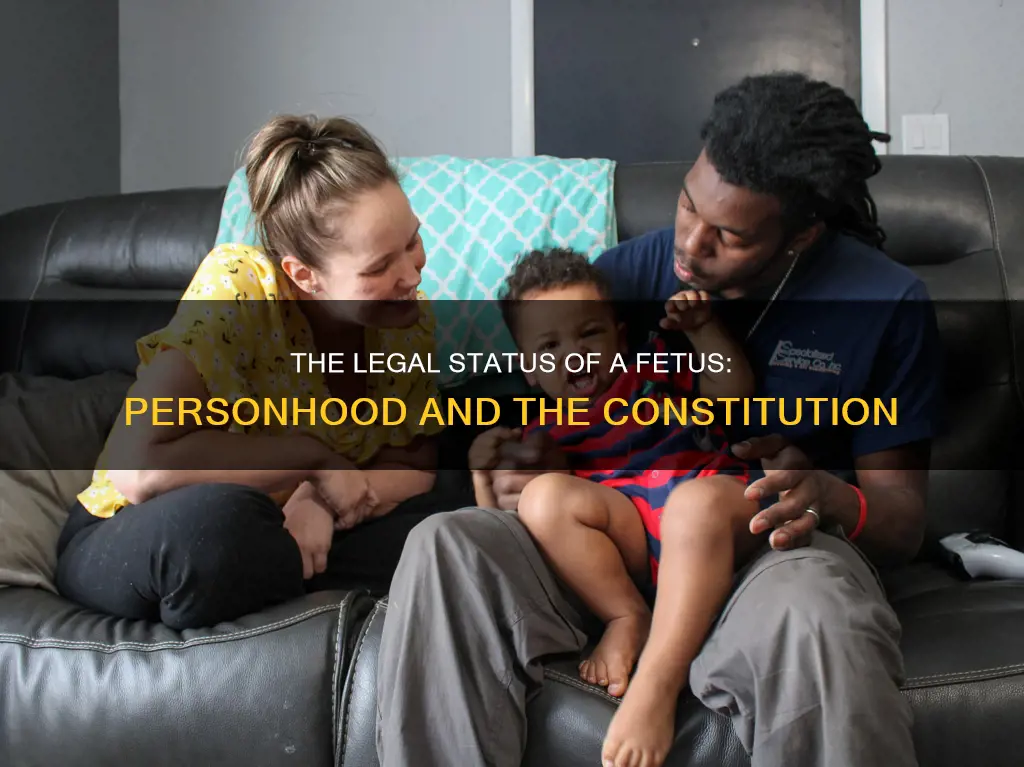 is a fetus a person under the federal constitution