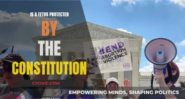 The Fetus and the Constitution: A Protected Relationship?