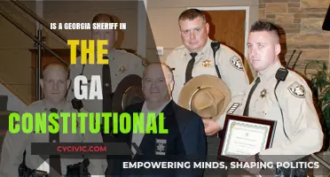 Sheriff's Powers: Georgia Constitution Explained