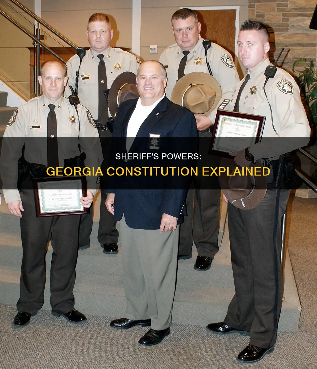 is a georgia sheriff in the ga constitutional
