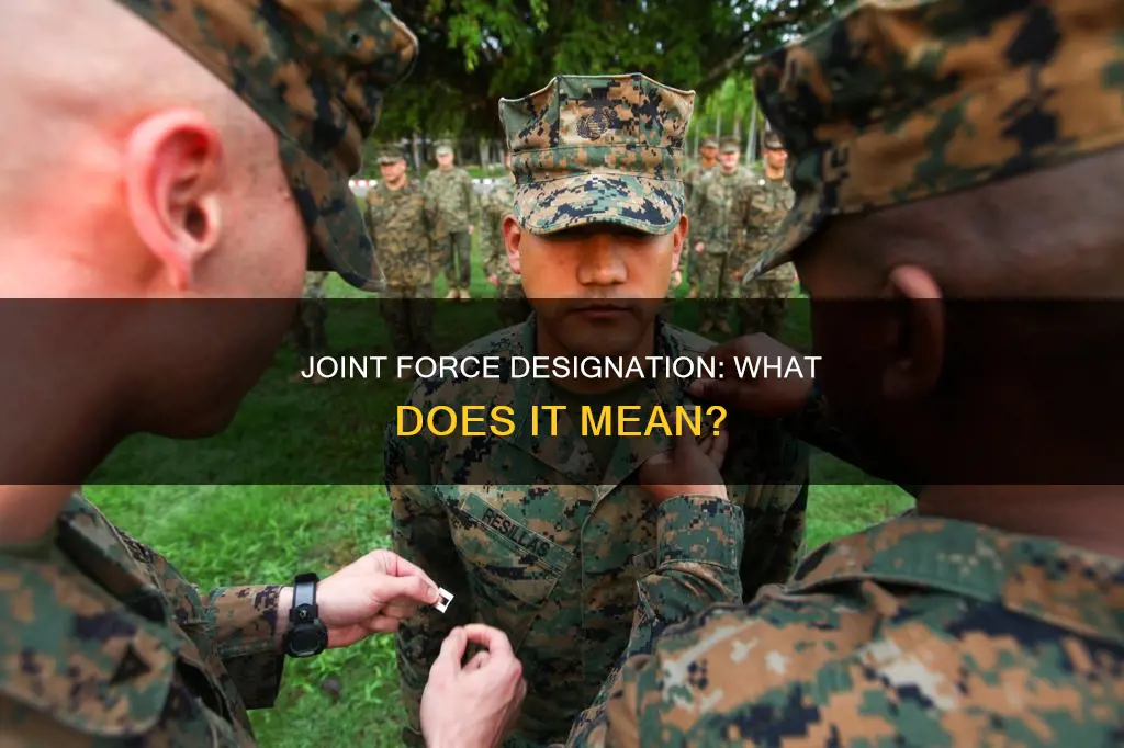 is a joint force that is constituted and so designated