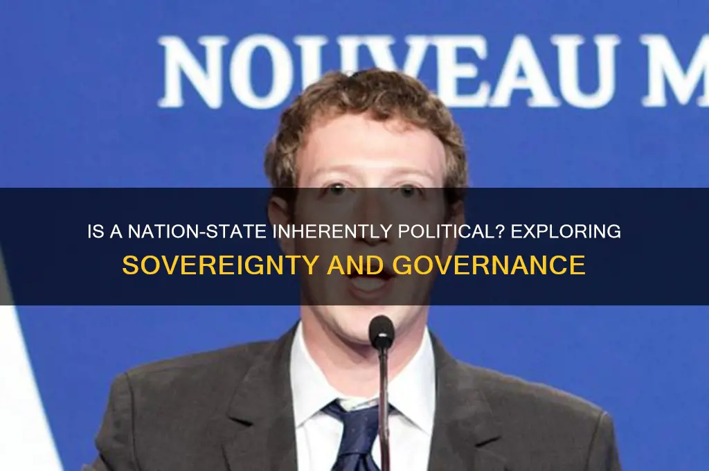 is a nation state political