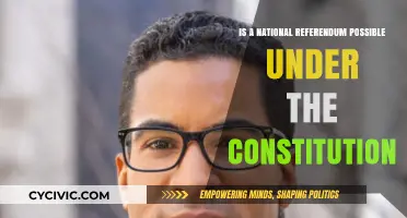 Exploring Constitutionality of National Referendums