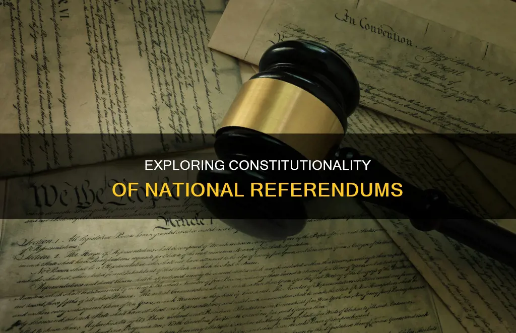 is a national referendum possible under the constitution
