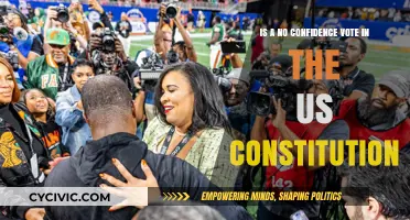 US Constitution: Can We Lose Confidence?