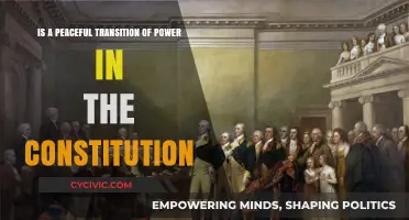 Transition of Power: Peaceful, Constitutional, and Democratic
