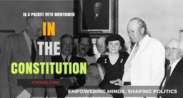 What's a Pocket Veto? Exploring the US Constitution