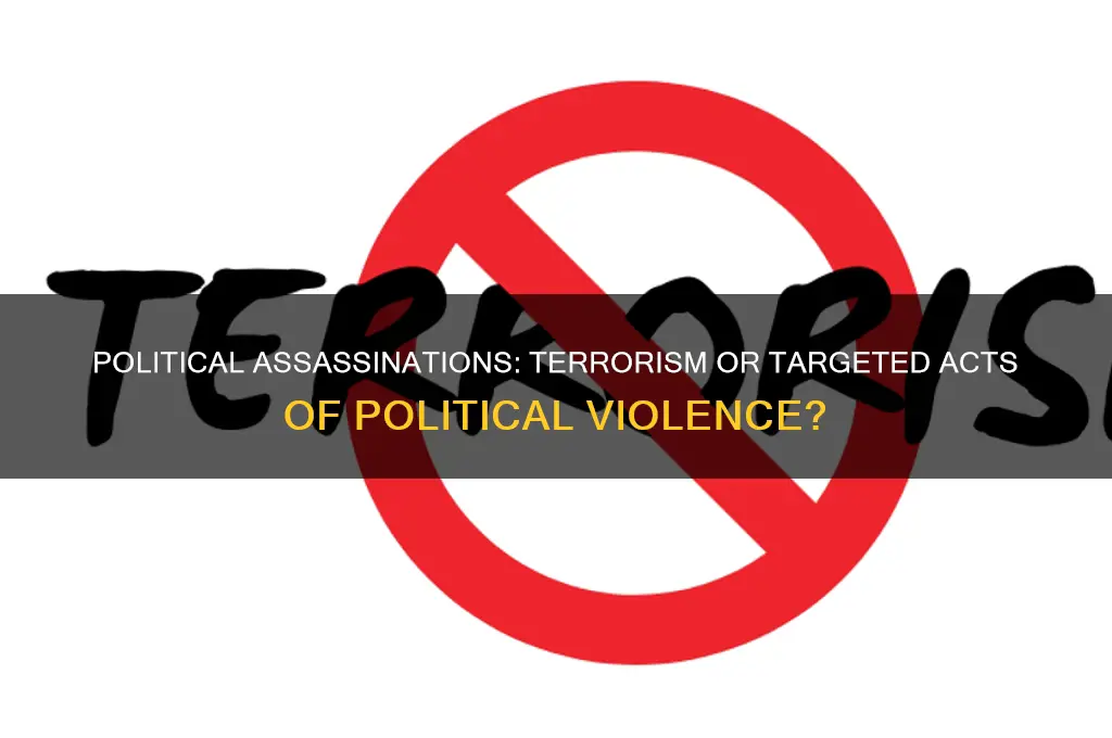 is a political assassination terrorism