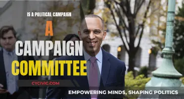 Political Campaigns: Are They Campaign Committees?