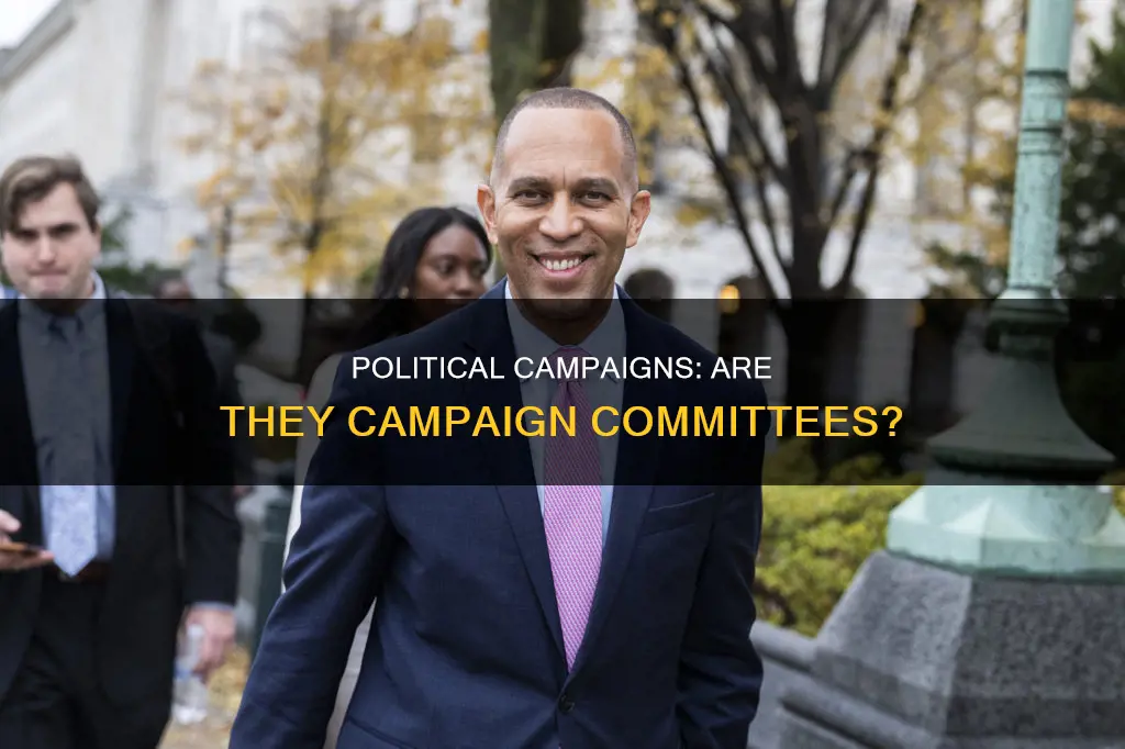 is a political campaign a campaign committee