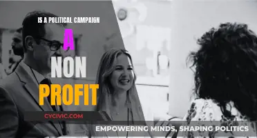 Political Campaigns: Non-Profit or Money-Making Machines?