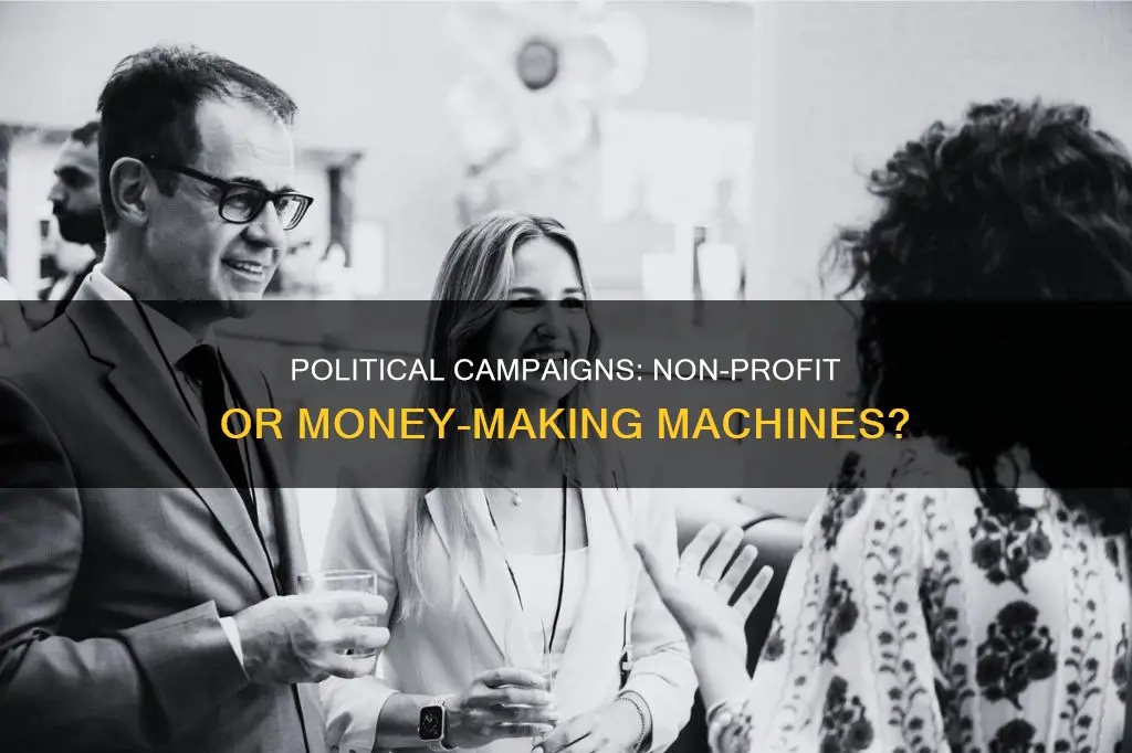 is a political campaign a non profit