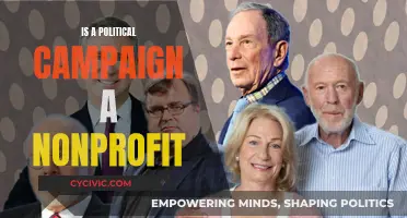 Political Campaigns: Nonprofit or For-Profit?