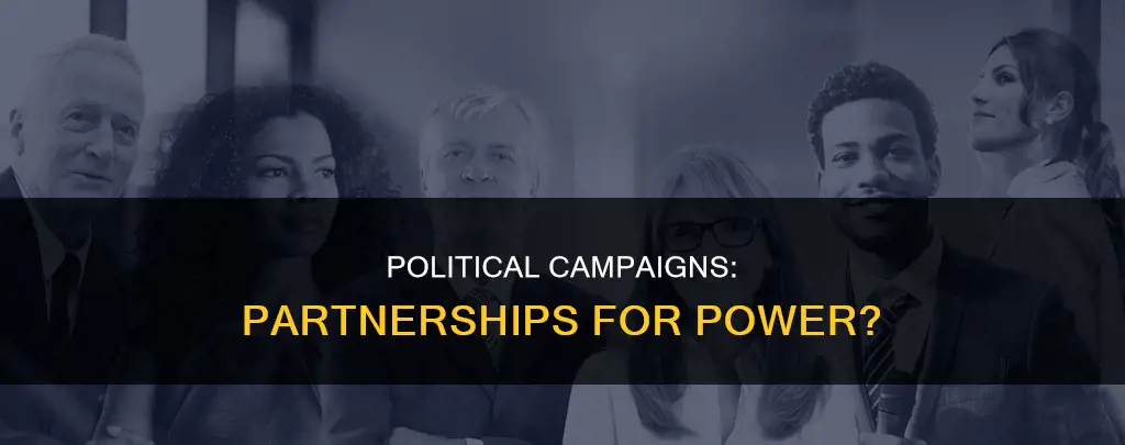 is a political campaign a partnership