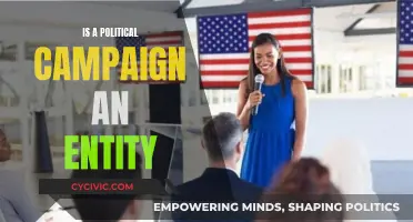 The Nature of Political Campaigns: Entity or Not?