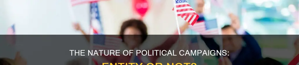 is a political campaign an entity