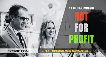 Political Campaigns: Nonprofit or For-Profit?
