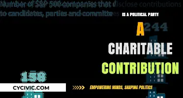 Political Party Donations: Charitable Contributions or Strategic Investments?