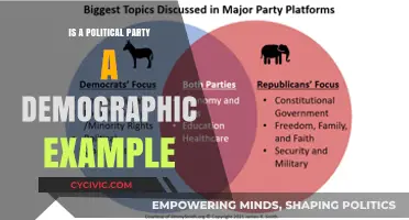 Are Political Parties Demographic Examples? Exploring the Intersection of Politics and Identity