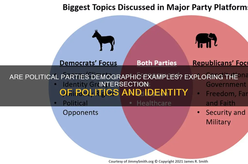 is a political party a demographic example