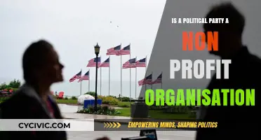 Are Political Parties Non-Profit? Exploring Their Legal and Financial Status