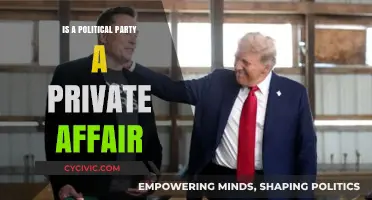 Are Political Parties Private Affairs or Public Responsibilities?