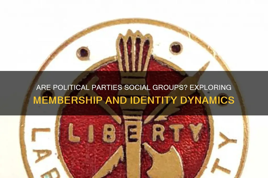 is a political party a social group