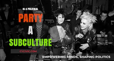 Are Political Parties Subcultures? Exploring Identity, Norms, and Influence