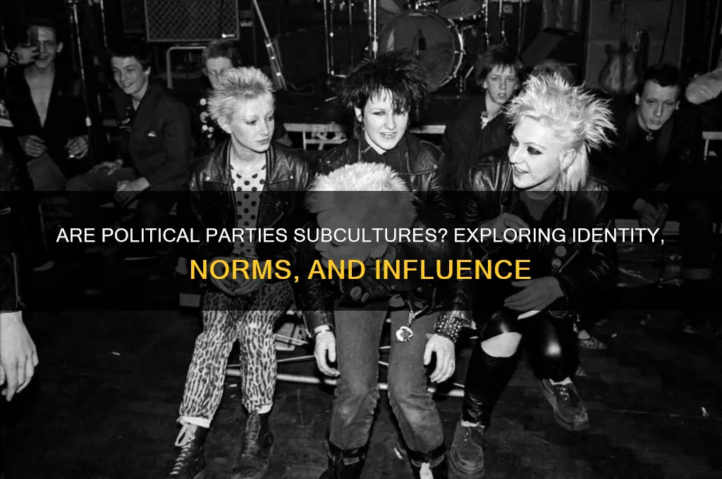 is a political party a subculture