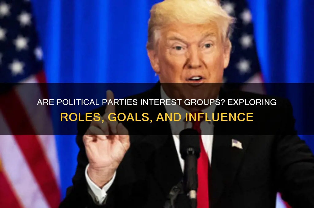 is a political party an interest group