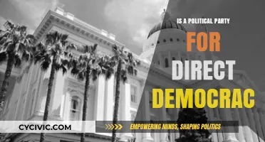 Exploring the Potential of a Direct Democracy Political Party