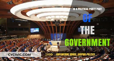 Are Political Parties Government Entities? Understanding Their Role and Function
