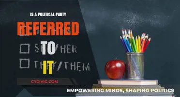 Understanding the Terminology: Is a Political Party Referred to as 'It'?