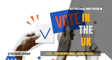 How Does the UK Elect Political Parties into Power?