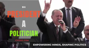 Is a President Truly a Politician? Exploring the Role and Identity