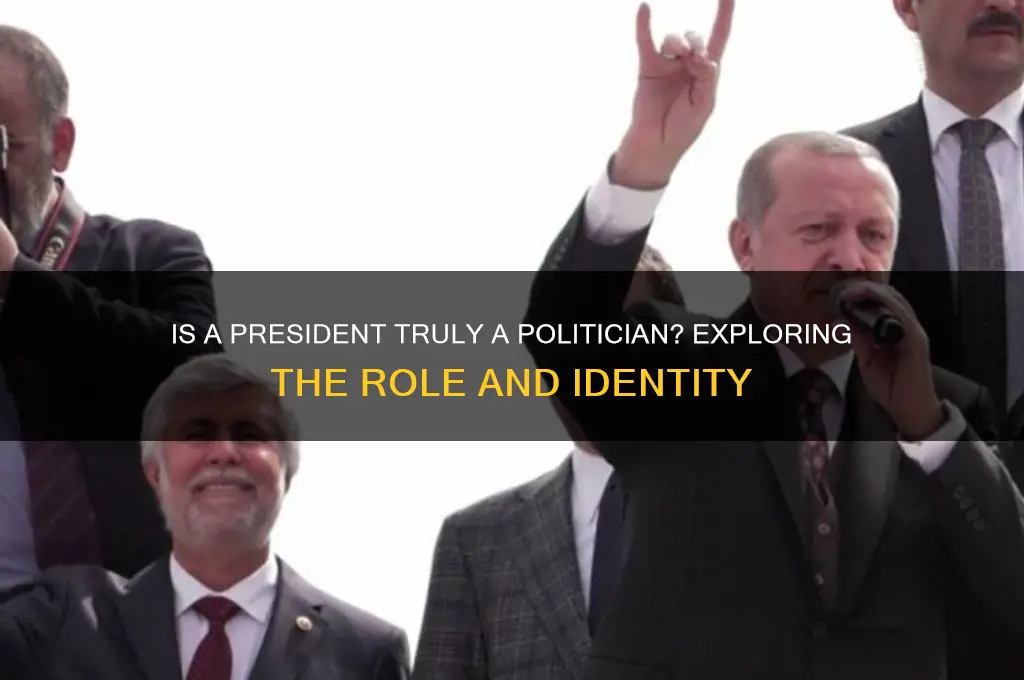 is a president a politician
