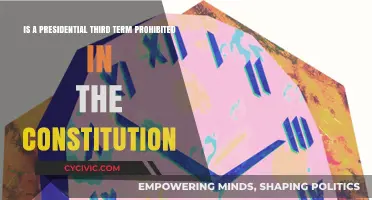 The Constitution: Can a President Serve Three Terms?