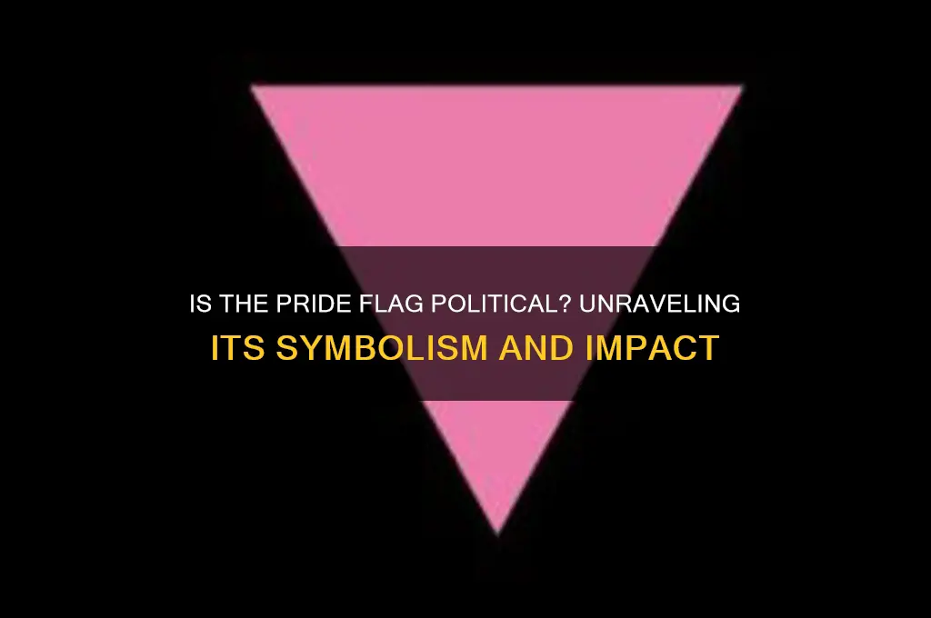 is a pride flag political