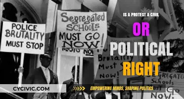 Understanding Protests: A Fundamental Civil and Political Right