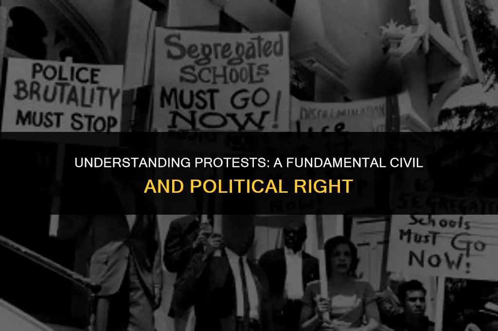 is a protest a civil or political right