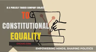 Public Companies: Equal Treatment Under the Constitution?