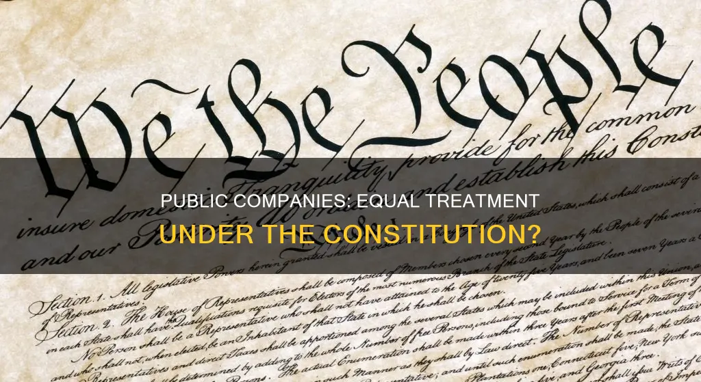 is a publicly traded company subject to constitutional equality