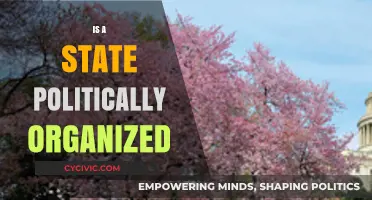 Understanding Political Organization: What Defines a State's Structure and Governance?