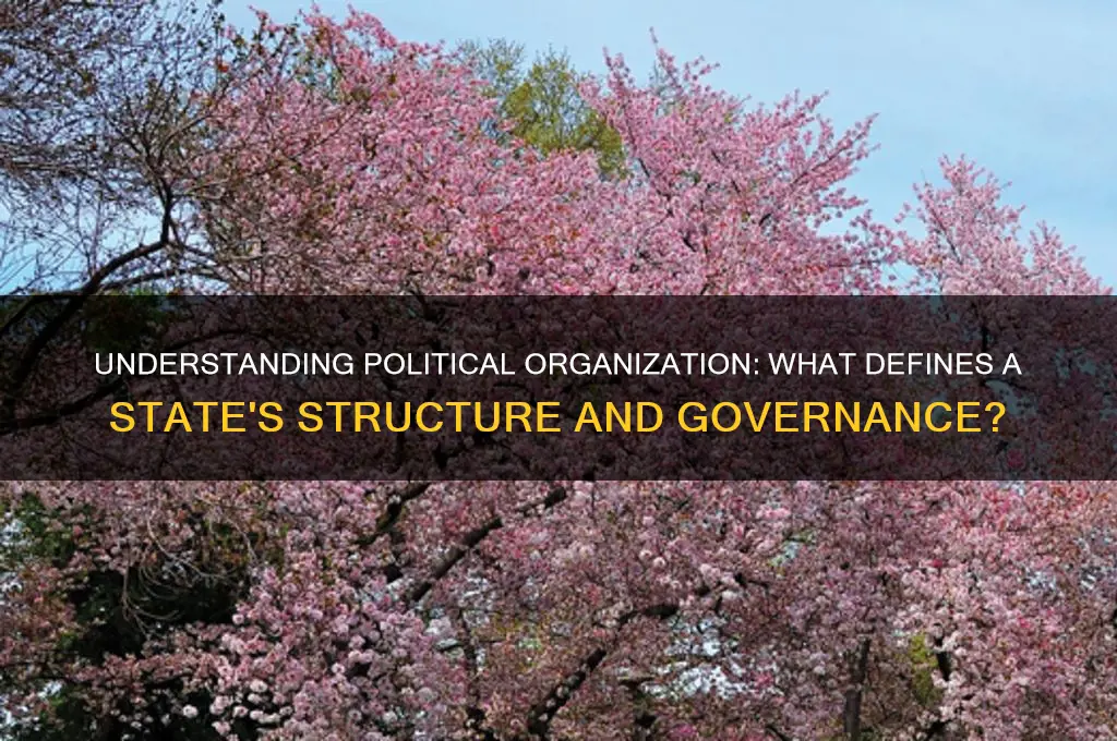 is a state politically organized