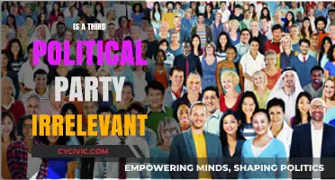 Is a Third Political Party Irrelevant in Today's Polarized Landscape?