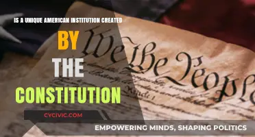 The Supreme Court: America's Unique Constitutional Institution