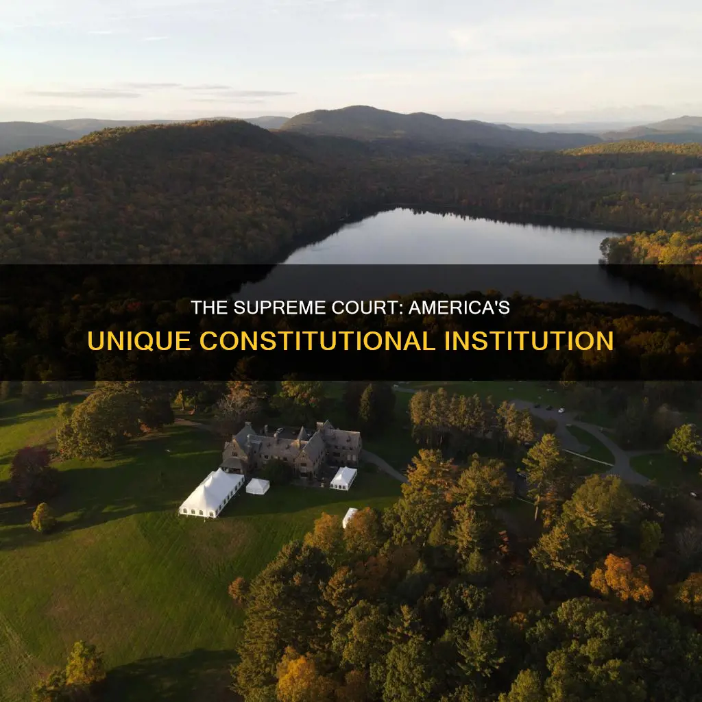 is a unique american institution created by the constitution