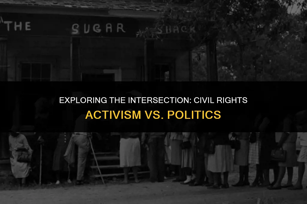 is a wcivil rights activist different from a politic