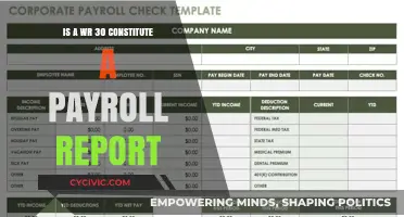 What Constitutes a Payroll Report: WR-30 Explained